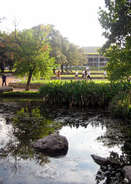 Auditorium Shores view from gazeebo